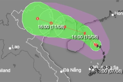 Từ trưa 10-8, Quảng Ninh ngừng cấp phép tàu, thuyền ra khơi