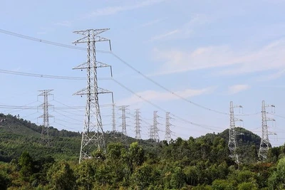 Đóng điện toàn tuyến đường dây 500kV mạch 3