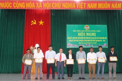 Kông Chro: Tặng giấy khen cho 88 cá nhân, tập thể xuất sắc trong phong trào sản xuất, kinh doanh giỏi