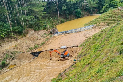 Lâm Đồng: Phạt công ty du lịch đắp đập ngăn suối, tự ý chuyển đổi mục đích sử dụng đất