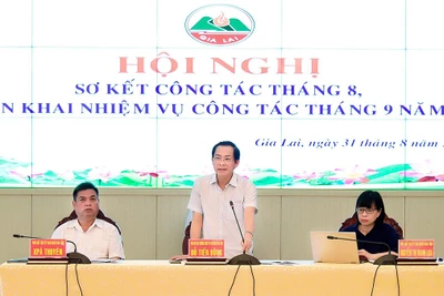 Gia Lai: Tập trung tháo gỡ khó khăn, vướng mắc trong triển khai thực hiện nhiệm vụ