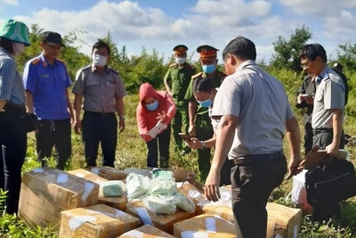 Đắk Lắk: Tiêu hủy gần 200 kg ma túy đá liên quan đến 2 tử tù