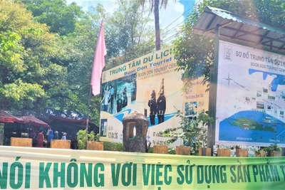 Nạn buôn bán ngà voi và nỗi đau đại ngàn