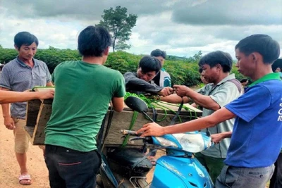 Thông tin cháu bé tử vong do đuối nước nhưng không có địa điểm chôn cất là sai sự thật