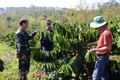 Đak Nông: Đổi mới công tác kết nghĩa, huy động mọi nguồn lực hỗ trợ đồng bào dân tộc thiểu số