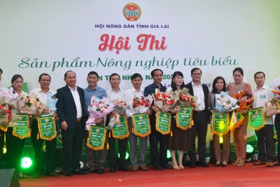 Khai mạc Hội thi "Sản phẩm nông nghiệp tiêu biểu" tỉnh Gia Lai lần thứ I