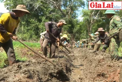 Biến đầm hoang thành đồng ruộng cho dân làng