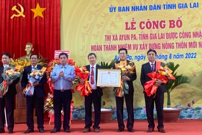 Ayun Pa công bố hoàn thành nhiệm vụ xây dựng nông thôn mới năm 2020