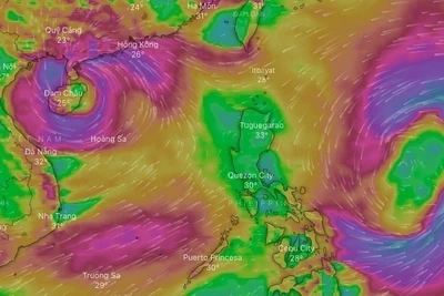 Dự báo diễn biến bão, áp thấp nhiệt đới từ nay đến hết năm 2022