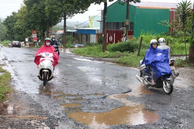 Pleiku: Khẩn trương duy tu, sửa chữa các tuyến đường xuống cấp