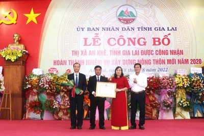 An Khê công bố hoàn thành nhiệm vụ xây dựng nông thôn mới