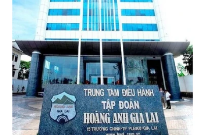 Hoàng Anh Gia Lai bị phạt 245 triệu đồng do vi phạm trong giao dịch với cổ đông