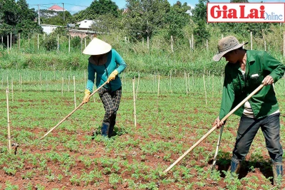 Ước vọng mùa màng bội thu