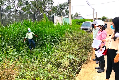 Xác minh thông tin phản ánh Nhà máy Đường An Khê gây ô nhiễm môi trường