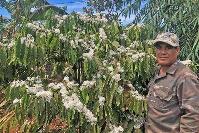 "Đầu tàu" làng Klăh-Băng