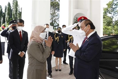 "Mối quan hệ Việt Nam-Singapore đang phát triển toàn diện"