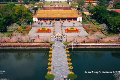 Cung đường Huế - Hội An lọt top hoạt động nổi bật trên thế giới cho người mê du lịch khám phá