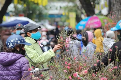 Chủ tịch nước Nguyễn Xuân Phúc chúc Tết Nguyên đán Nhâm Dần 2022