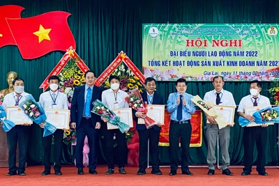 Công ty TNHH một thành viên Cao su Mang Yang phấn đấu thực hiện thắng lợi "nhiệm vụ kép"