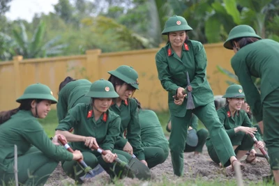 Ngày đầu trong quân ngũ: Cùng ăn, cùng ở với nữ tân binh