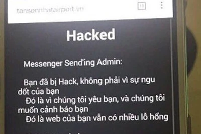 Hai Hacker 15 tuổi tấn công website của nhiều sân bay trong nước