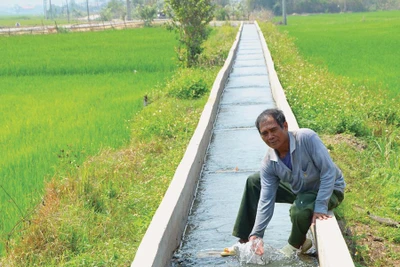 Ia Pa: Phòng-chống hạn cho lúa Đông Xuân