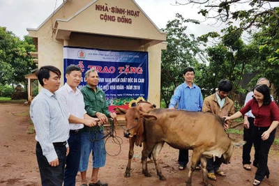 Quan tâm hỗ trợ nạn nhân chất độc da cam