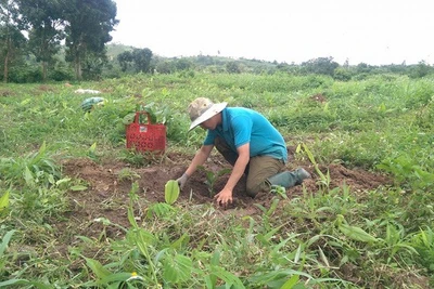 Tòa án chuyển hồ sơ vụ GV kiện nhà trường sang CA để điều tra