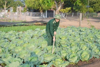 Đảm bảo hậu cần mùa mưa bão