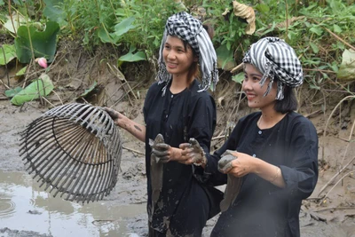 Một ngày lênh đênh Tràm Chim, ngắm chim, mò cua bắt cá