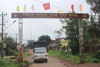 Gia Lai: Tăng tốc "về đích" nông thôn mới