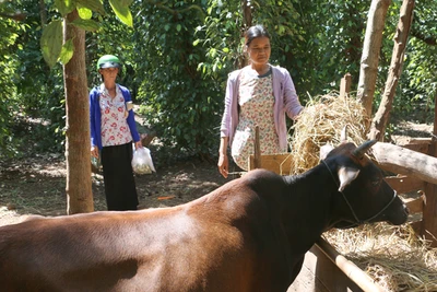 Chư Pưh quan tâm hỗ trợ đồng bào dân tộc thiểu số thoát nghèo