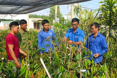 Tận tâm với phong trào Đoàn