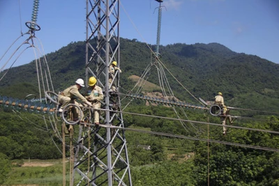 Khách hàng được mua điện tái tạo trực tiếp?