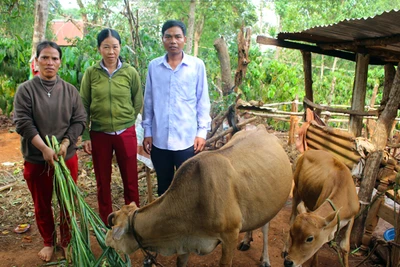 Phát huy hiệu quả: Quỹ "Vì người nghèo"