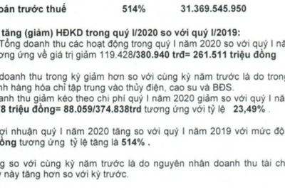 Lý do Quốc Cường Gia Lai của nhà Cường Đôla tăng trưởng lợi nhuận 514%