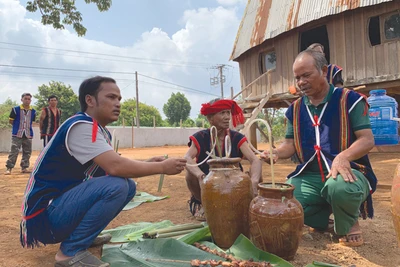 "Cầu cho mưa thuận gió hòa"