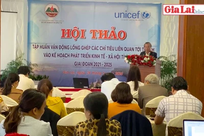 Hội thảo lồng ghép các chỉ tiêu liên quan tới trẻ em vào Kế hoạch phát triển KTXH giai đoạn 2021-2025