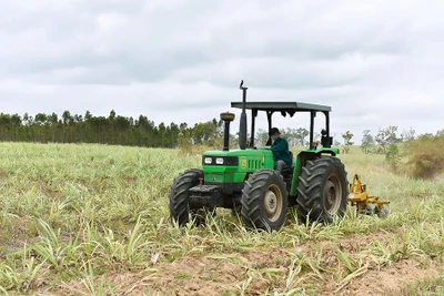 Cơ giới hóa nông nghiệp tại Gia Lai: Nhiều khó khăn cần tháo gỡ