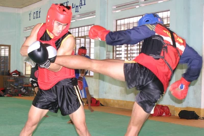 Gia Lai giành 2 huy chương vàng kick boxing