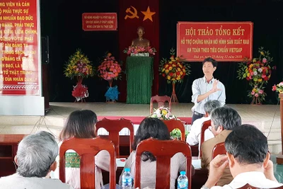 Đak Pơ: Sản xuất rau an toàn theo tiêu chuẩn VietGAP