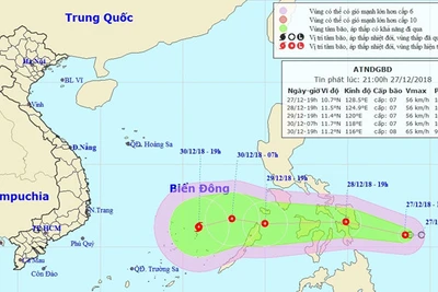 Kịch bản áp thấp nhiệt đới mạnh lên thành bão dịp Tết Dương lịch