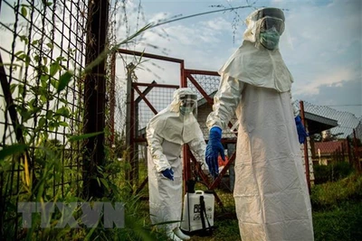 Phát hiện 'lá chắn' chống virus Ebola trong tế bào người