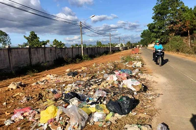 Bãi rác "mọc"... cạnh thùng rác