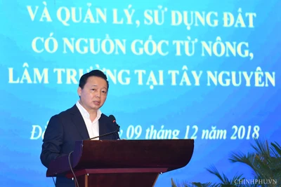 Bố trí gần 17.000 ha đất cho đồng bào Tây Nguyên