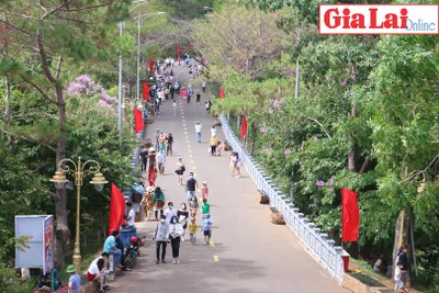 Gia Lai: Các điểm du lịch hút khách dịp lễ 30-4 và 1-5