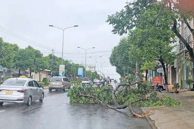 Cảnh báo lũ quét, sạt lở đất và ngập úng cục bộ tại Gia Lai