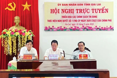 Ngân hàng Chính sách Xã hội tỉnh Gia Lai: Tập trung nguồn lực hỗ trợ phục hồi sản xuất, đảm bảo an sinh xã hội