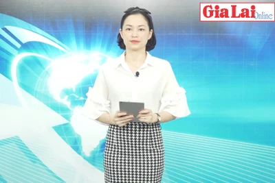 Gia Lai 48h: Hội chợ triển lãm thương mại và giới thiệu sản phẩm OCOP: Đa dạng gian hàng, phong phú sản phẩm