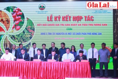 Sẻ chia kinh nghiệm kết nối chuỗi giá trị nông sản